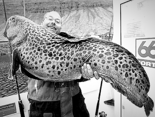 Solar eclipse fishing festival 2026